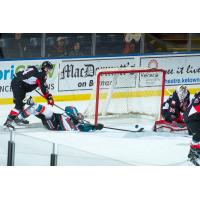Prince George Cougars defense desperately fights off the Kelowna Rockets