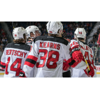Binghamton Devils celebrate vs. the Toronto Marlies