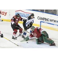 Connor Chatham of the Idaho Steelheads in front of the Rapid City Rush net