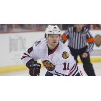 Forward Stephen Collins with the Indy Fuel