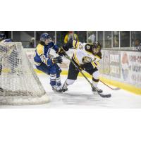 Forward Michael Neville with Michigan Tech