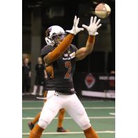 Jamal Miles of the Arizona Rattlers prepares to make a catch