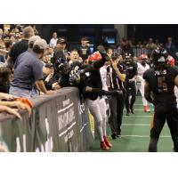 Arizona Rattlers make a catch against the wall vs. the Sioux Falls Storm
