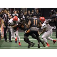 Arizona Rattlers tackle the Sioux Falls Storm