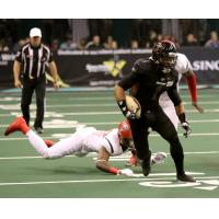 Arizona Rattlers find open ground against the Sioux Falls Storm