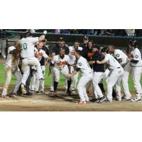 Lew Ford and the Long Island Ducks celebrate Ford's walk-off home run