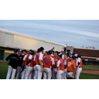 Albany Dutchmen celebrate a walk-off win