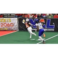 Jacksonville Sharks WR Tom Gilson vs. the Columbus Lions