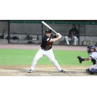 Travis Snider eyes a pitch for the Long Island Ducks