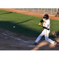 Willmar Stingers infielder John Trousdale