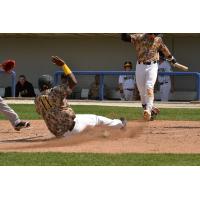 Sussex County Miners infielder Daniel Mateo slides home safely