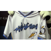 Myrtle Beach Pelicans Deaf Awareness Night jersey