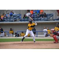 Jayce Ray at bat for the Sussex County Miners