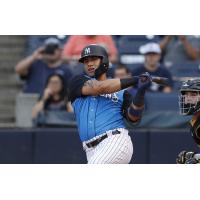 Gleyber Torres batting for the Tampa Tarpons