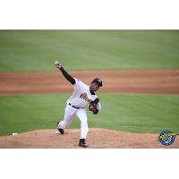 Charleston RiverDogs pitcher Roansy Contreras