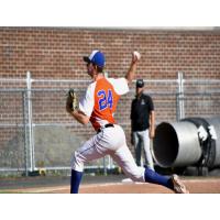 Albany Dutchmen pitcher Dylan D'Anna