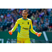 Las Vegas Lights FC goalkeeper Ricardo Ferrino reacts following a save