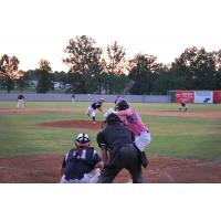 Texarkana Twins await a pitch