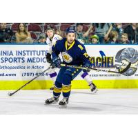 Norfolk Admirals defenseman Balazs Goz