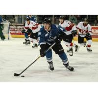 Idaho Steelheads forward Connor Chatham