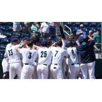 Everett AquaSox celebrate Troy Dixon's walk-off homer