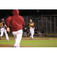 Wisconsin Rapids Rafters react to a walk-off win