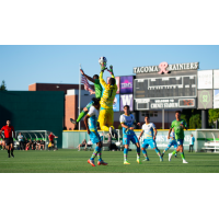 Las Vegas Lights FC goalkeeper Ricardo Ferrino goes high to stop a scoring chance