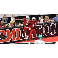 Jacksonville Sharks' Cody Saul, Tom Gilson (9) and fans celebrate a touchdown