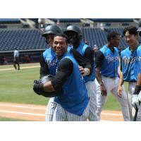 Dom Thompson-Williams is congratulated by Tampa Tarpons teammates