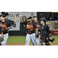 Long Island Ducks exchange high fives following a win