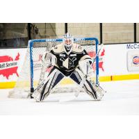 Wheeling Nailers goaltender Danny Tirone