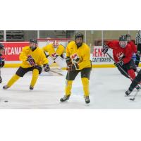 Michael Bianconi, Owen Power and Evan Vierling at Canada's national under-17 development camp