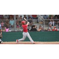 Acadiana Cane Cutters at the plate