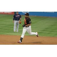 Daniel Fields rounds the bases for the Long Island Ducks