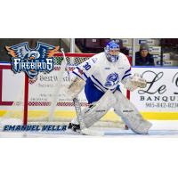 Goaltender Emanuel Vella with the Mississauga Steelheads