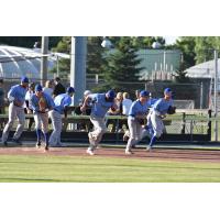 Watertown Rapids take the field