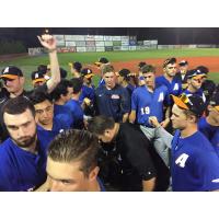 Albany Dutchmen exit the field