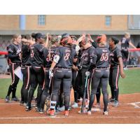 Chicago Bandits congratulate Kristyn Sandberg on her home run