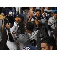 Somerset Patriots celebrate in the dugout