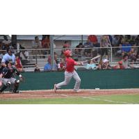 Acadiana Cane Cutters watch a high fly ball