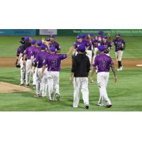 Long Island Ducks exchange high fives after a win