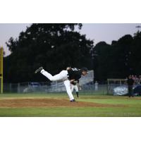 Texarkana Twins deliver a pitch