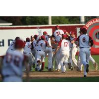 Wisconsin Rapids Rafters celebrate on the field