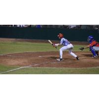 Acadiana Cane Cutters Lay down a Bunt