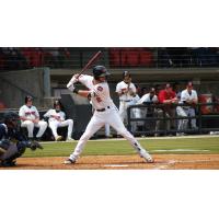 Carolina Mudcats infielder Weston Wilson at bat