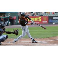 Taylor Ard connects on a home run for the Long Island Ducks