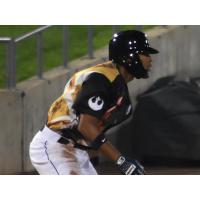 Somerset Patriots outfielder Endy Chavez