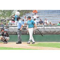 Michael Michalak of the Rochester Honkers approaches the plate