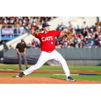 Victoria HarbourCats pitcher Gunnar Friend was stellar on the mound