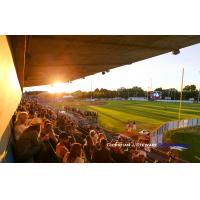 A beautiful night for baseball with the Victoria HarbourCats